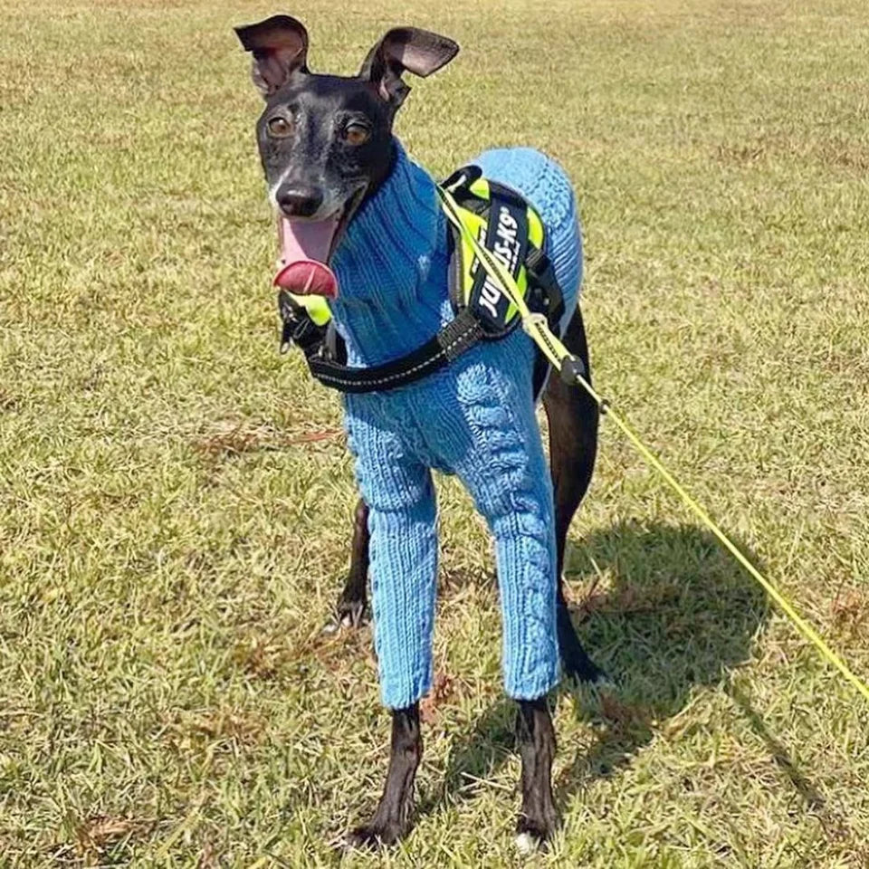 Turtleneck Twist Knitted Sweater for Dogs, Italian Greyhound Whippet, Warm Dog Coat, Dog's Winter Clothing